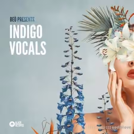 Black Octopus Indigo Vocals by Be├▓ [WAV]