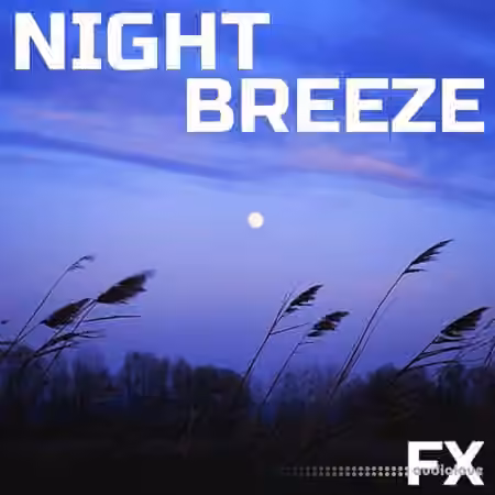 Cloud Nine Records Night Breeze FX [FLAC]