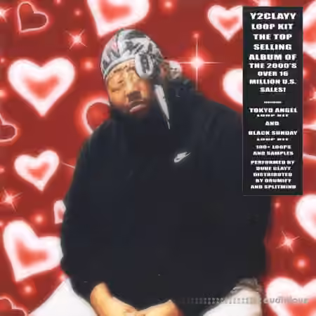 Dude Clayy Y2CLAYY Loop Kit [WAV]