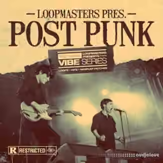 Loopmasters VIBES 13 Post Punk [WAV, REX]