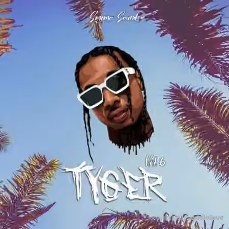 SMEMO Sounds Tyger Vol 6 [WAV, MiDi]