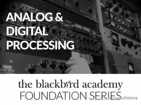 The Blackbird Academy Analog and Digital Processing [TUTORiAL]