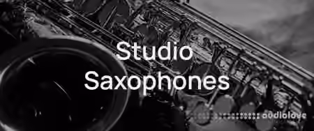 Vienna Symphonic Library Studio Saxophones for Synchron Player [Synth Presets]